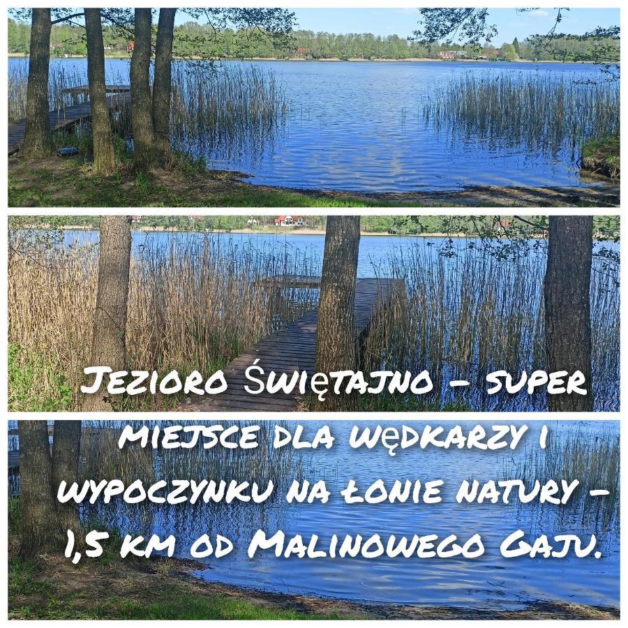 Malinowy Gaj - Agroturystyka Z Alpakami I Innymi Zwierzetami Swietajno  ภายนอก รูปภาพ