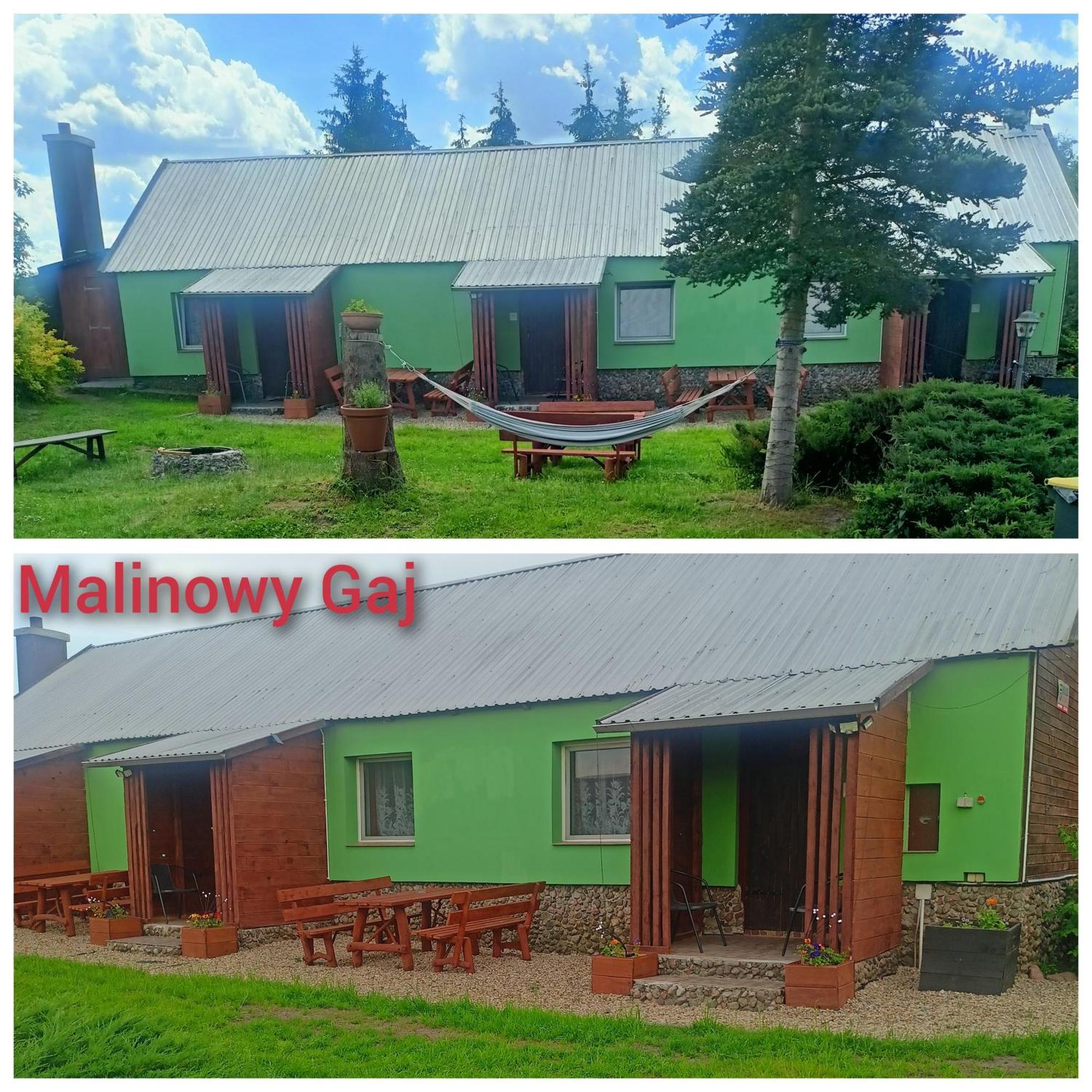 Malinowy Gaj - Agroturystyka Z Alpakami I Innymi Zwierzetami Swietajno  ภายนอก รูปภาพ