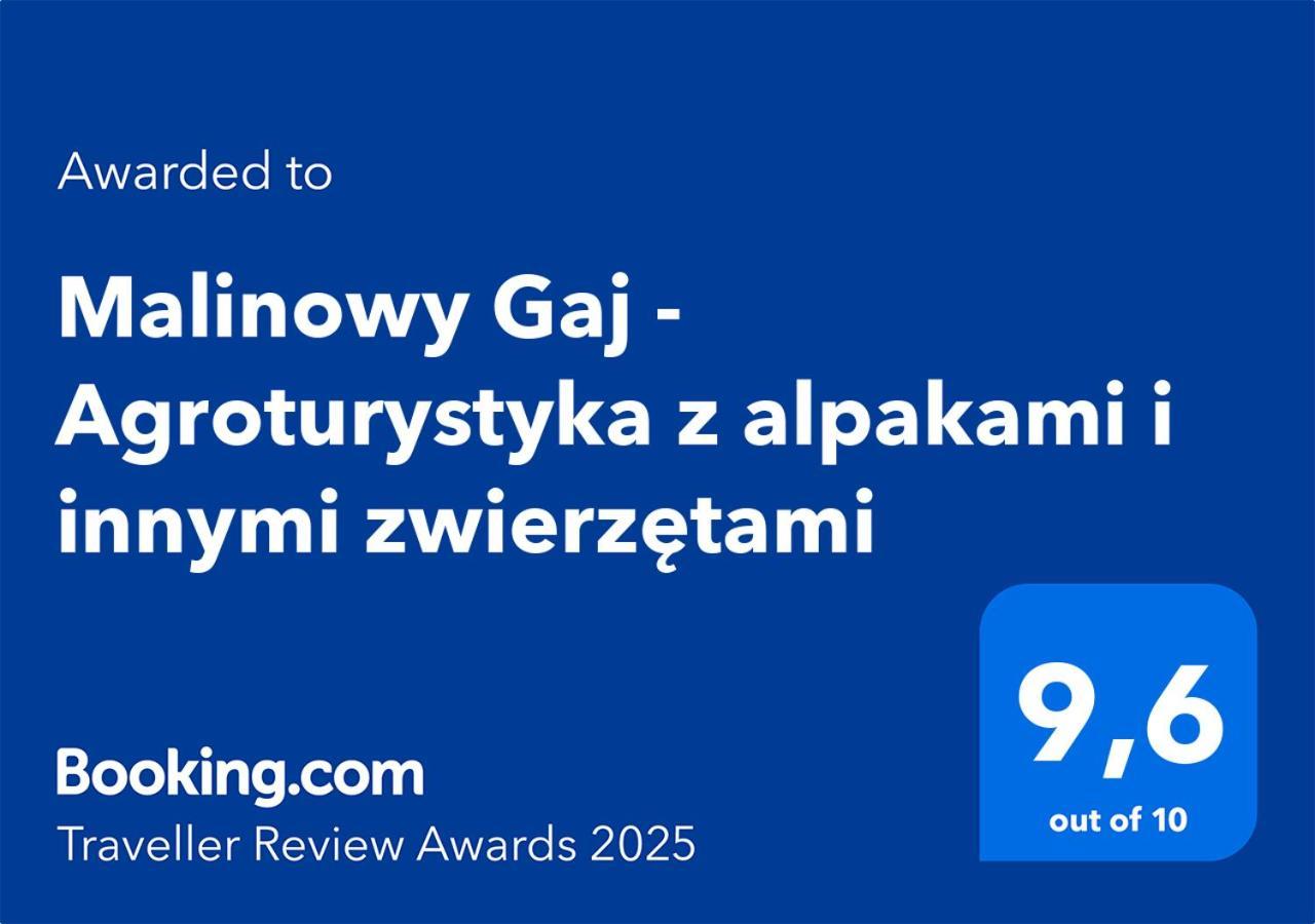Malinowy Gaj - Agroturystyka Z Alpakami I Innymi Zwierzetami Swietajno  ภายนอก รูปภาพ